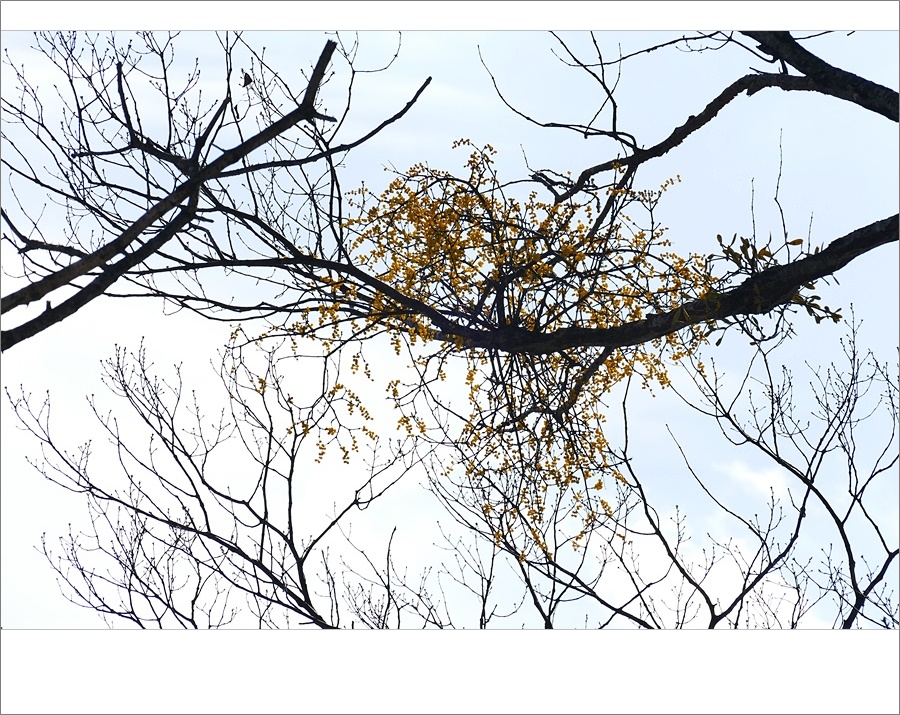 꼬리9.JPG