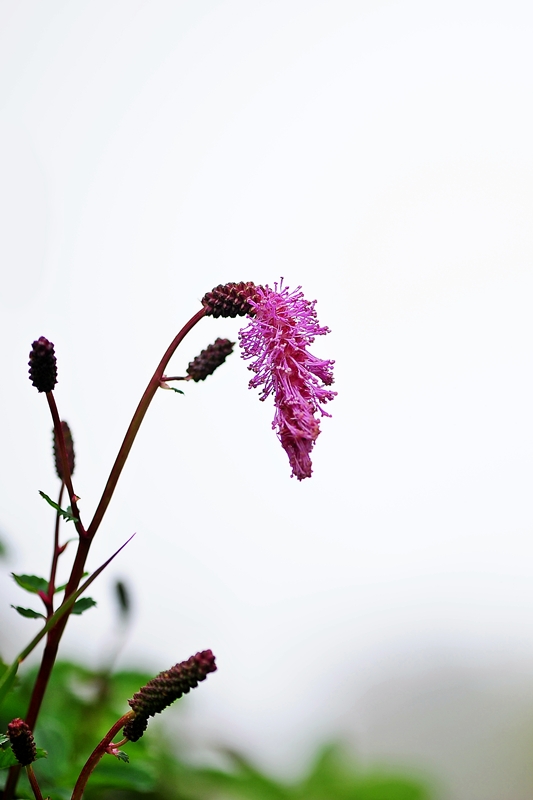 DSC_5640.JPG