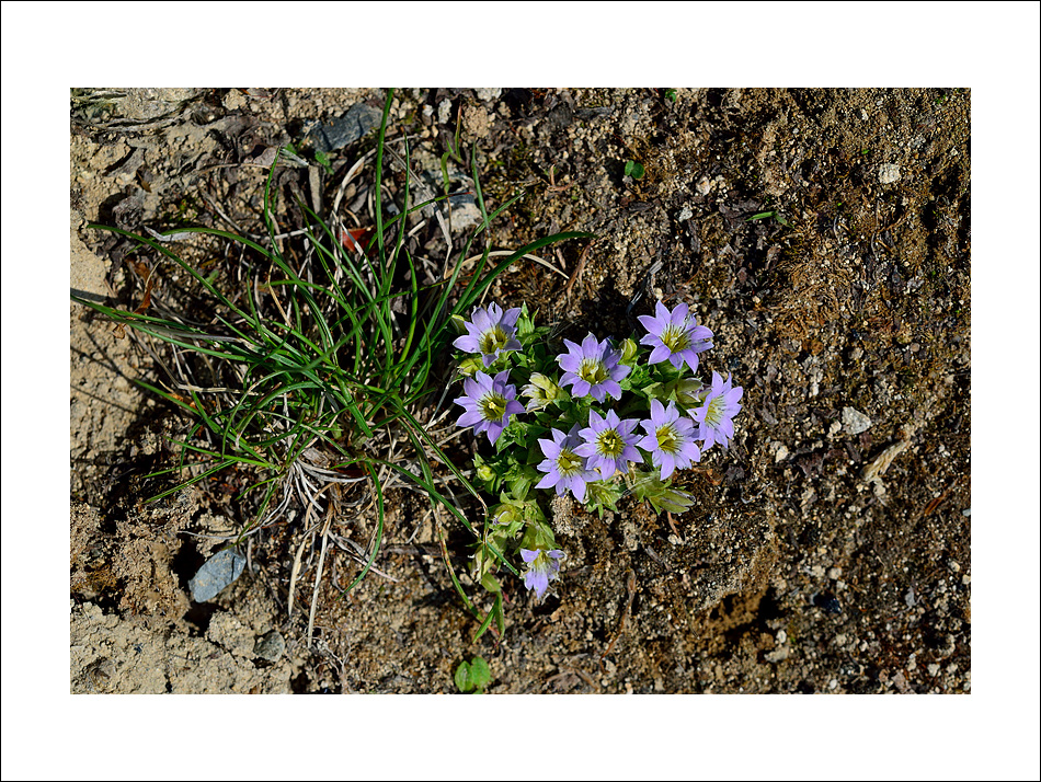 DSC_0422.jpg