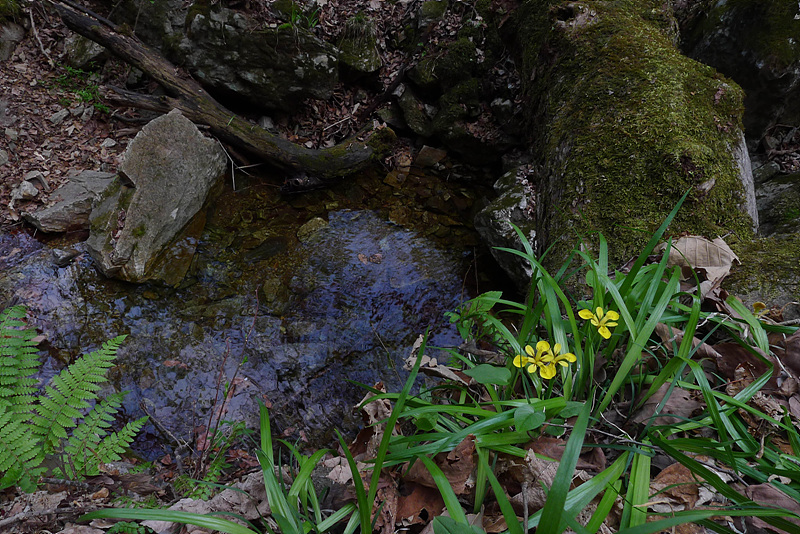 20130504-L1060412.jpg