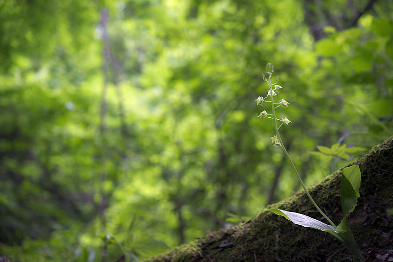 20130620_0003a-1.jpg