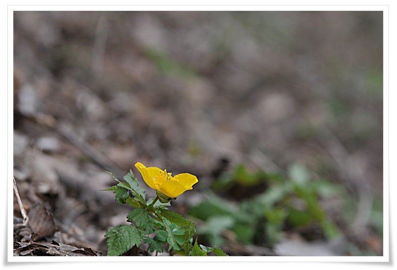 DSC_5126.JPG