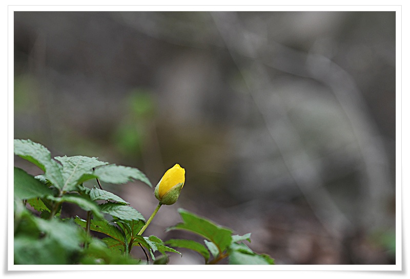 DSC_5118.JPG