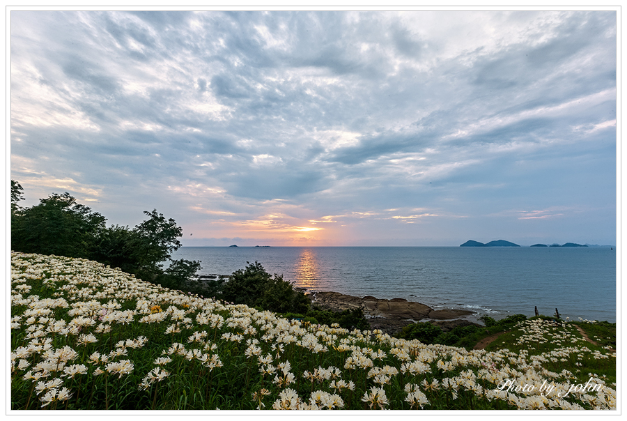 위도상사화6.jpg