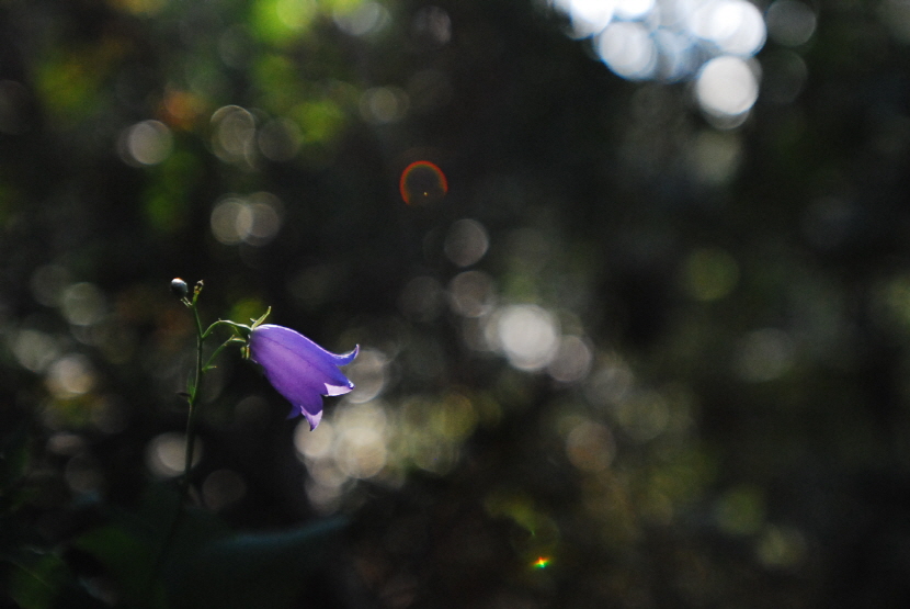크기변환_DSC_0716.JPG