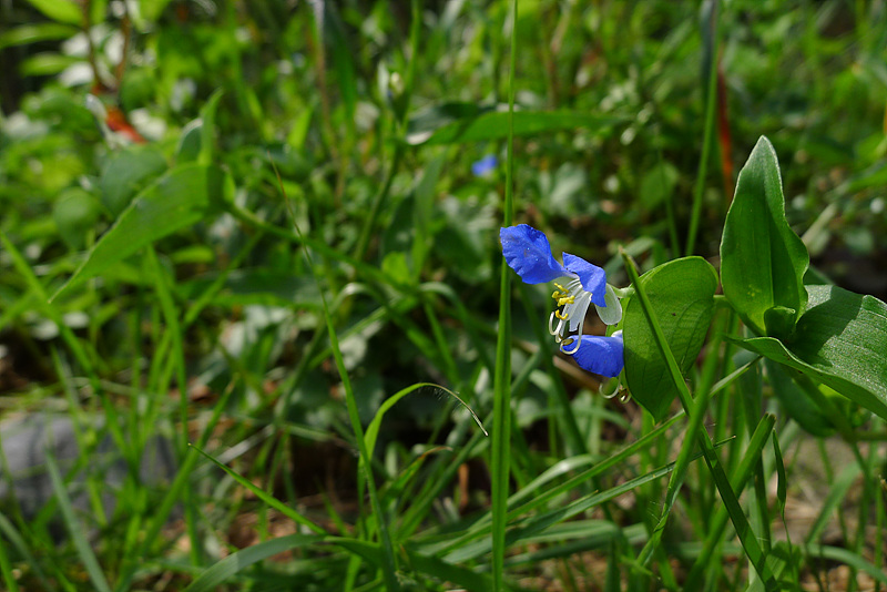 20120907-L1030152.jpg