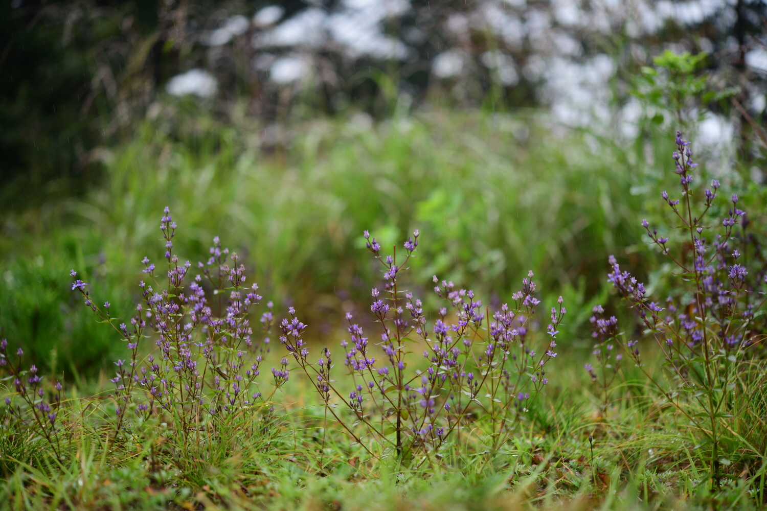 크기변환_DSC_4346.JPG