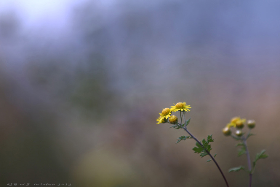 6abb4470014ec5561b583e3a75f2e922-2.jpg