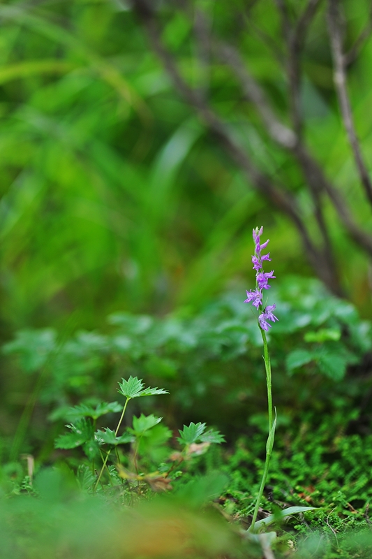 DSC_5430.JPG