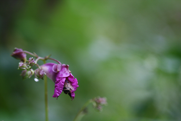2009.09.21 066.jpg