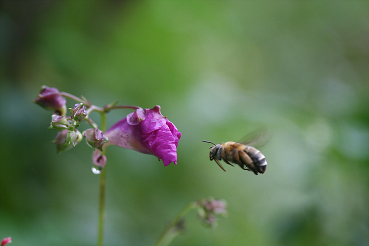 2009.09.21 064.jpg
