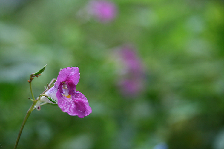 2009.09.21 063.jpg