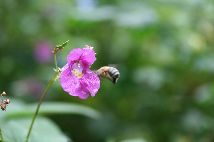 2009.09.21 069.jpg