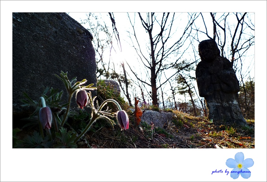 할미1.JPG