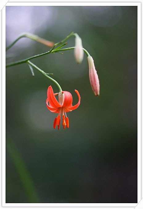 DSCF9543.JPG