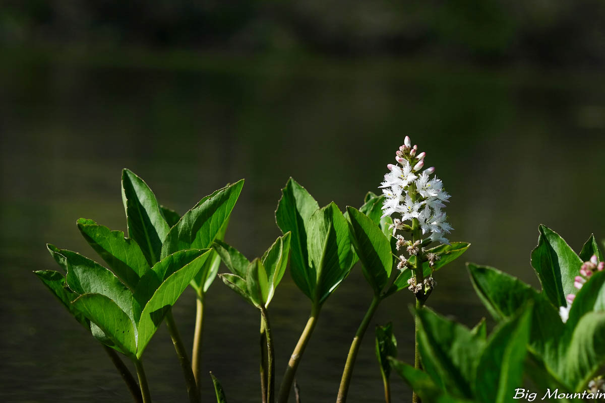 5ED7D797-A42D-4A92-ABC1-EEA14488D682.jpeg