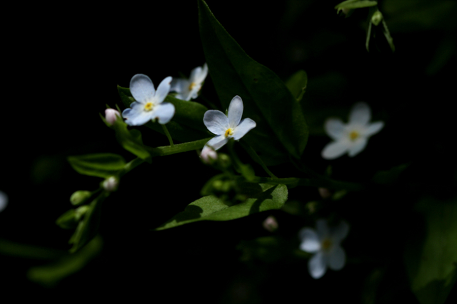 2010-05-10 114.jpg