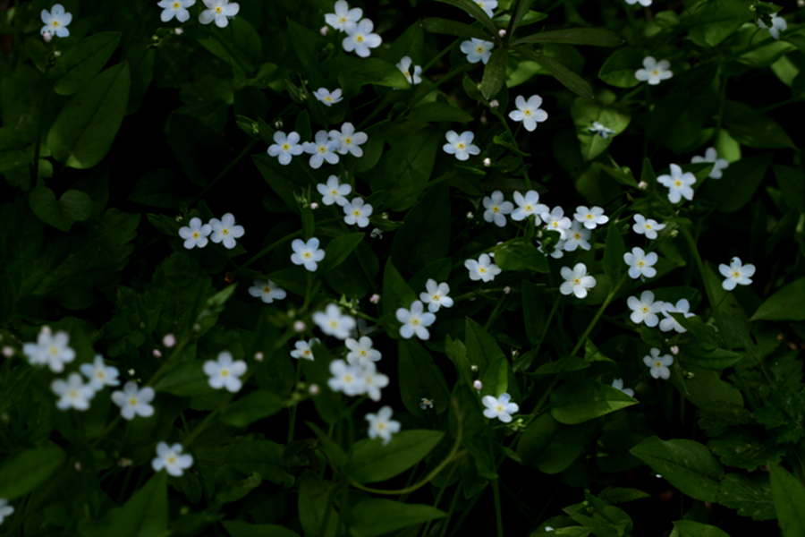 2010-05-10 108.jpg