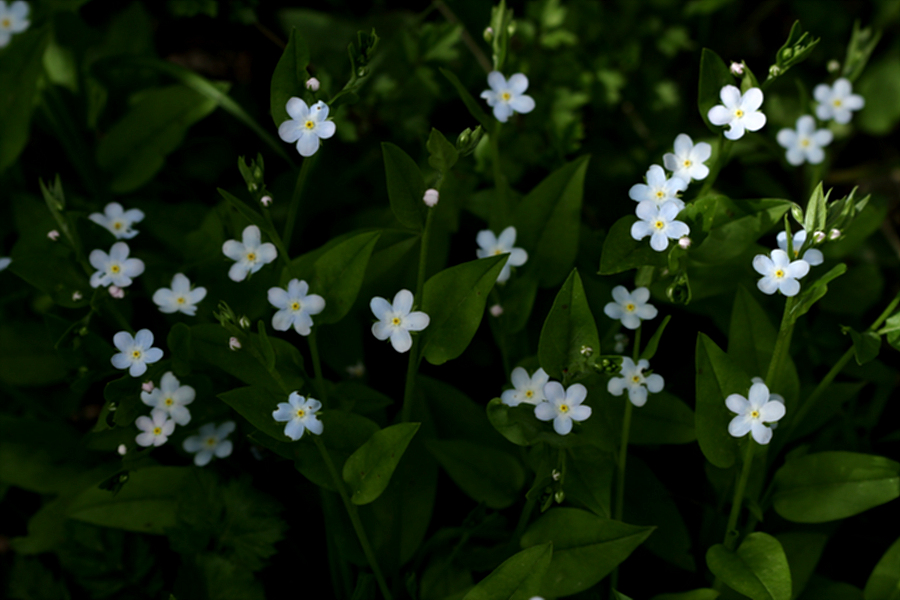 2010-05-10 113.jpg