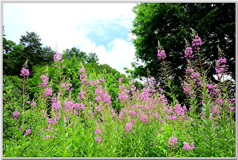 20100704_2116.jpg