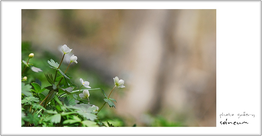 taeback(09-04-23) 836s.jpg