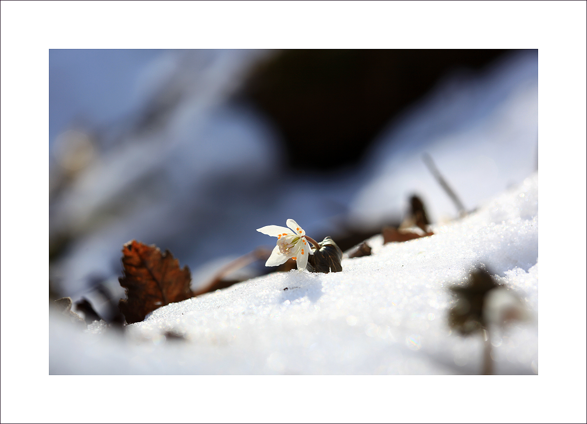 IMG_2610-1.jpg