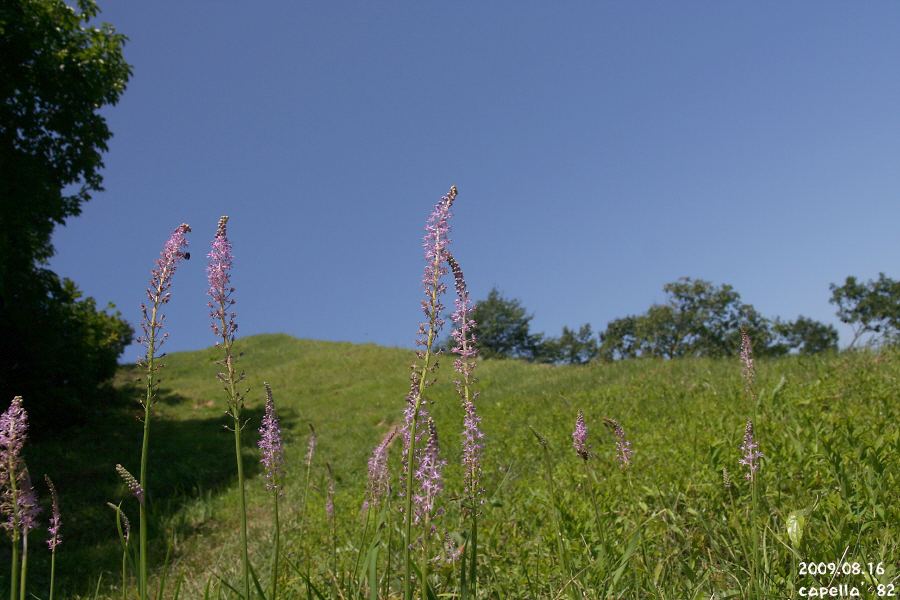 0816-2-7.JPG