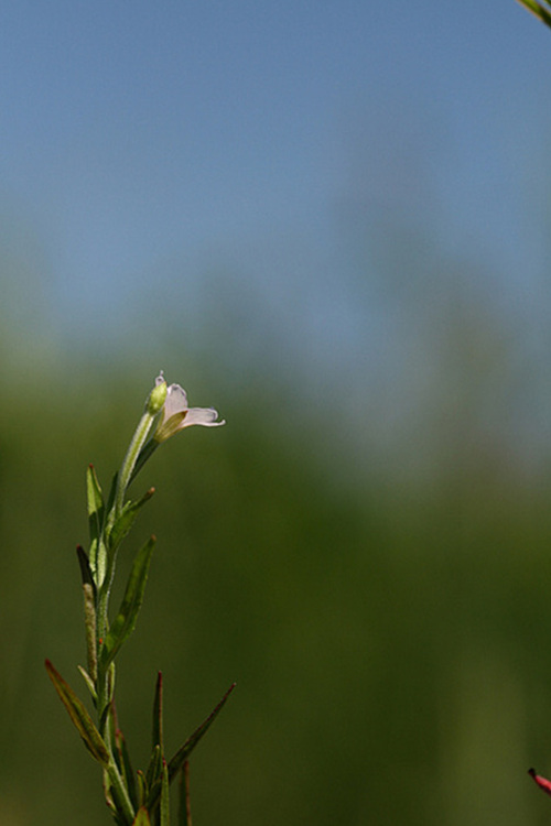 2009.09.02 141.jpg