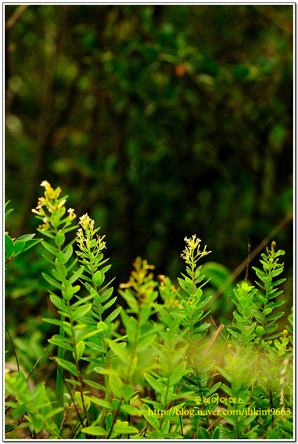 DSC_6220.jpg