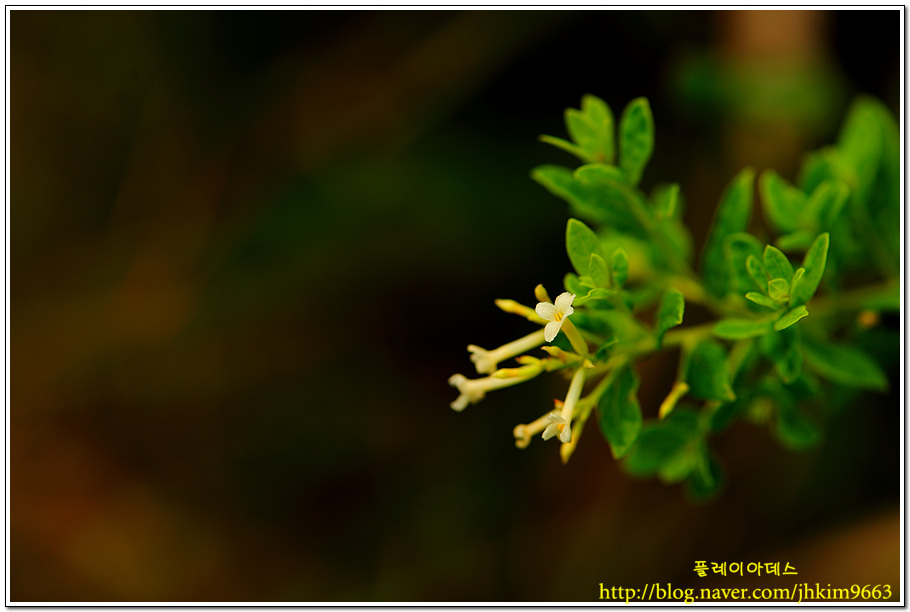 DSC_6226.jpg