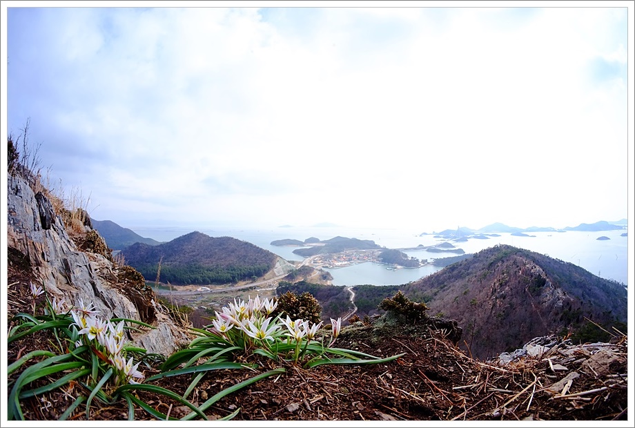 산자고4.JPG