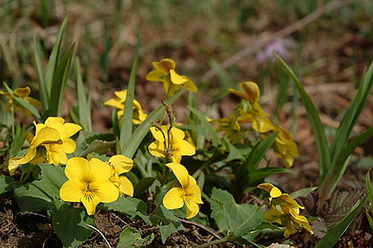 a0102574_497688266e6d4-4.jpg