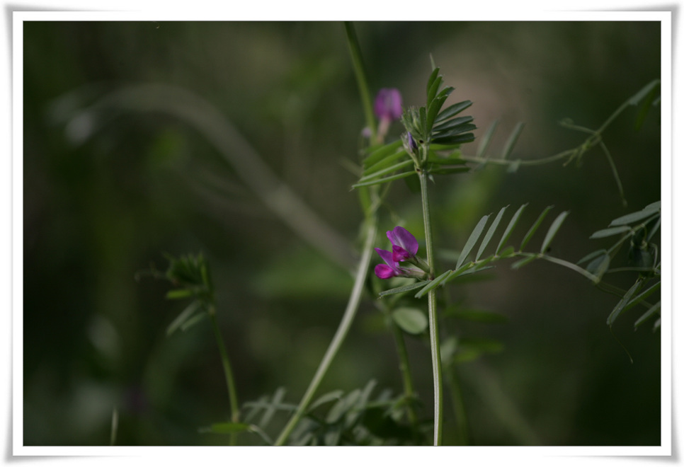 HB1F0960.jpg