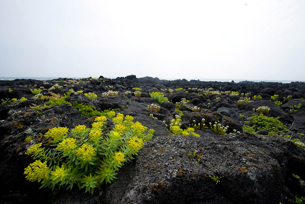 20140511_0002a-1.jpg