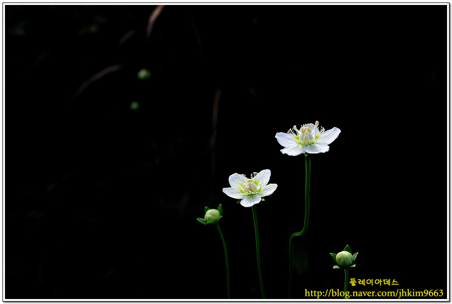 DSC_9919.jpg