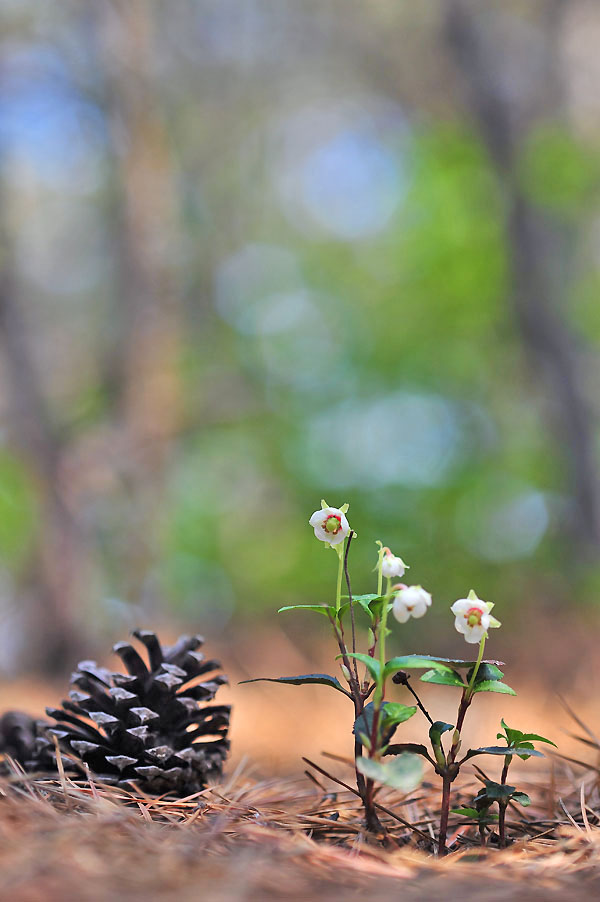 20120621_0015-1.jpg