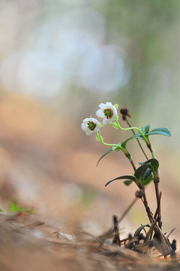 20120621_0048-1.jpg