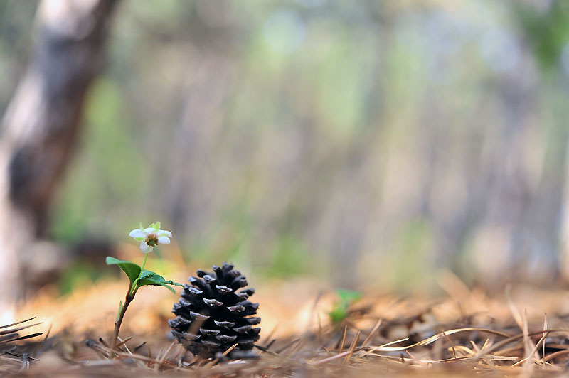 20120621_0064-1.jpg