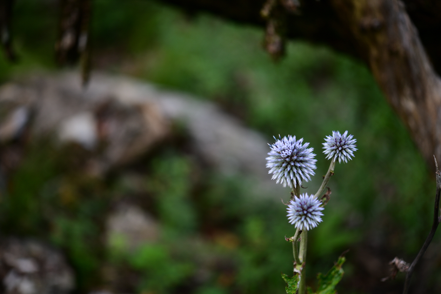 크기변환_DSC_3880.JPG