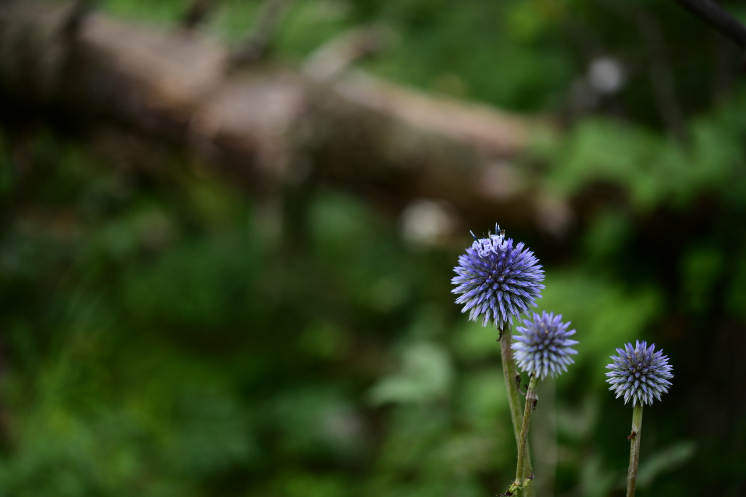 크기변환_DSC_3862.JPG