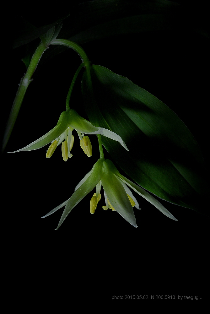 mm_DSC5913.JPG