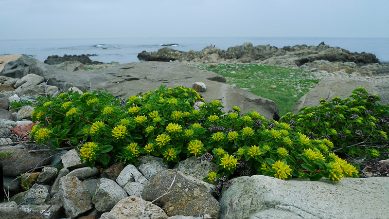 L1090489-1.jpg