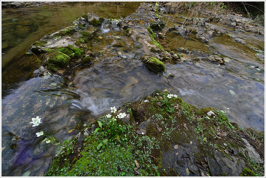 DSC_4868.jpg