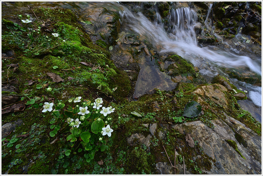 DSC_4882.jpg