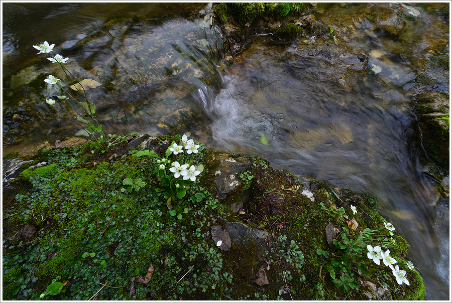 DSC_4864.jpg