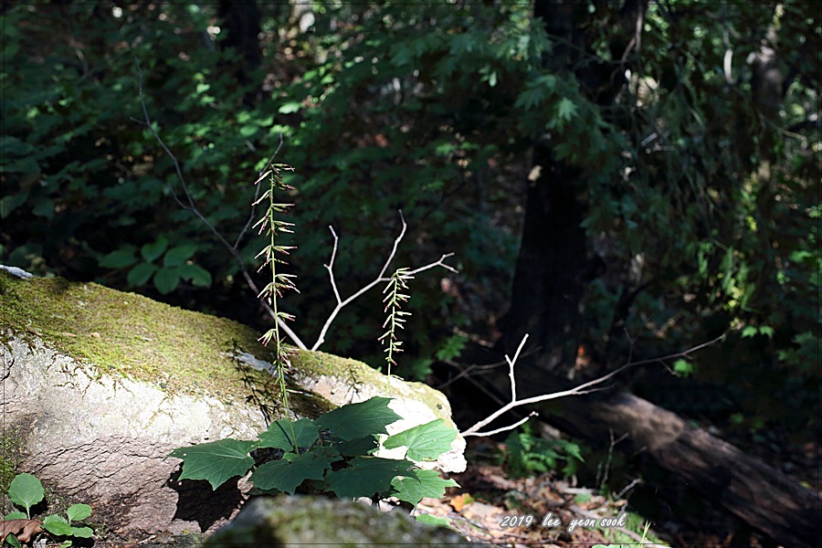 P39A4484.JPG