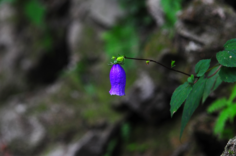 wnoyog_4010.jpg