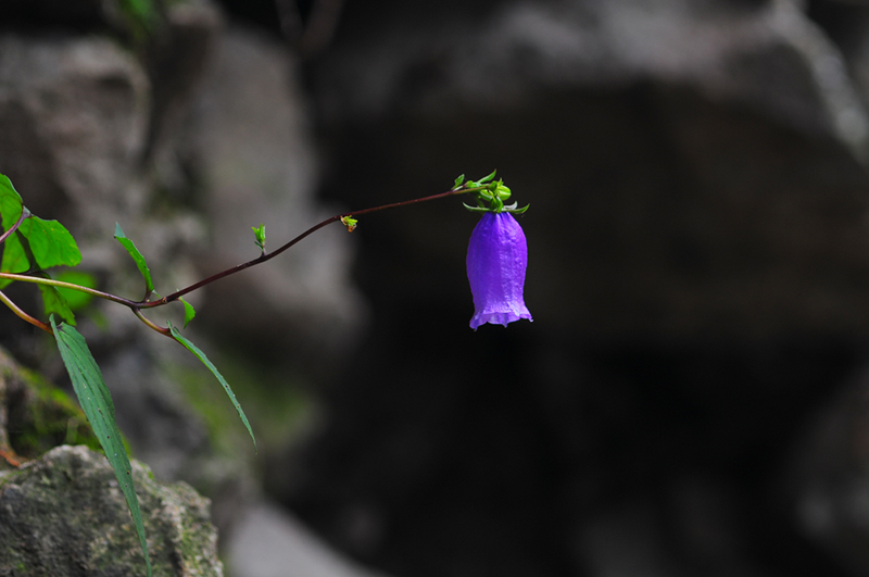 wnoyog_4012.jpg