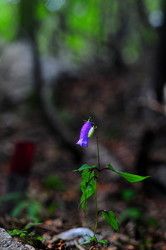 wnoyog_4054.jpg