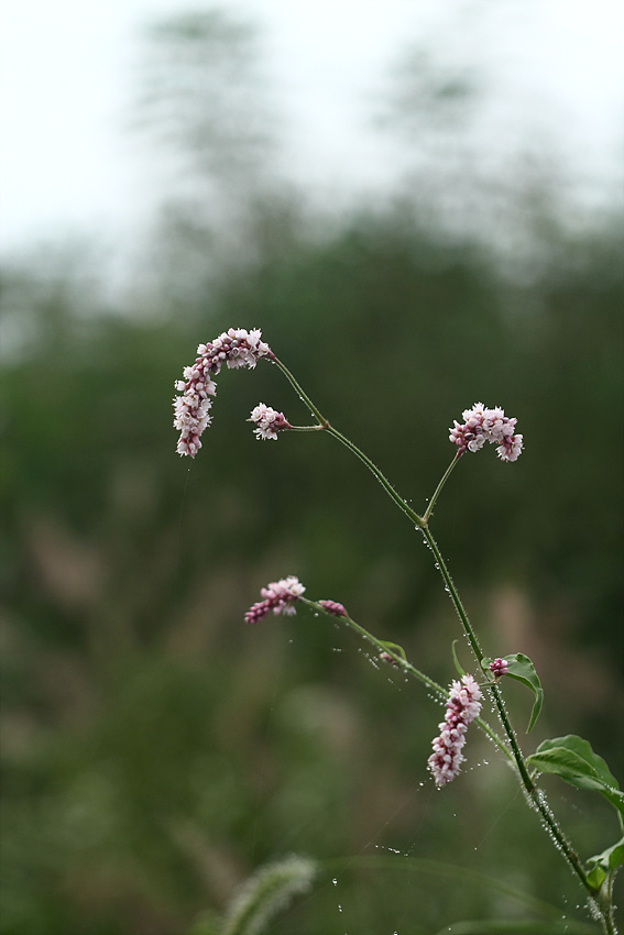 2013-09-16 029.jpg